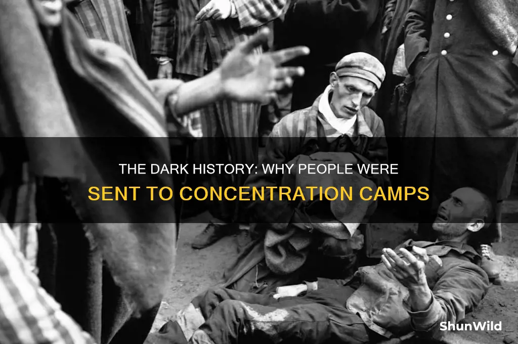 why were people sent to concentration camps
