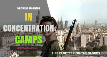 Spaniards in Concentration Camps: Uncovering the Forgotten History of Exiles