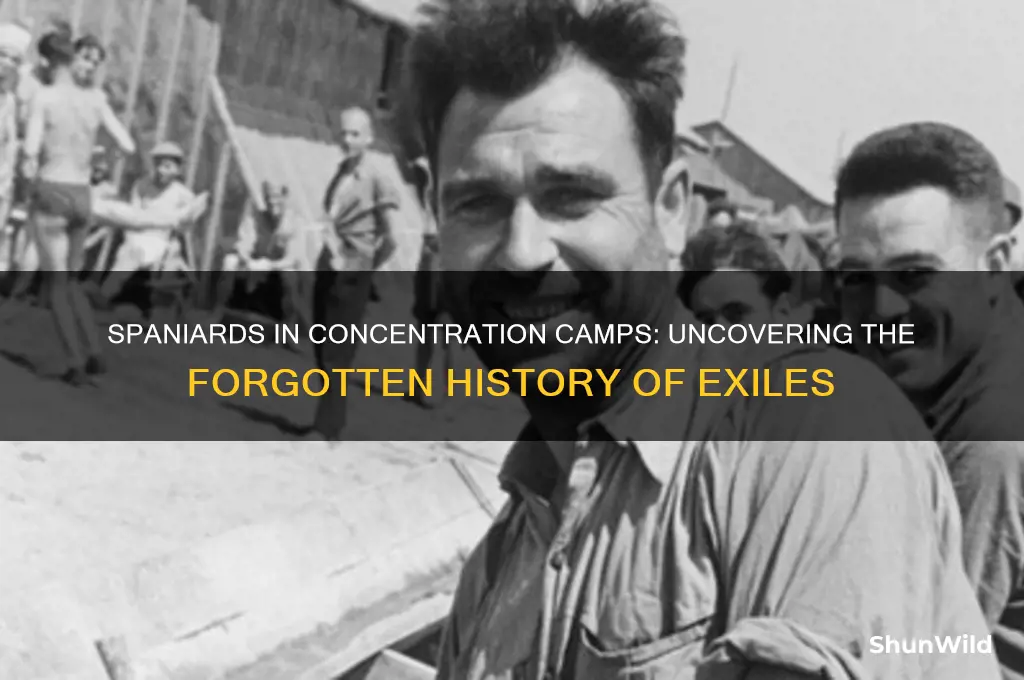 why were spaniards in concentration camps