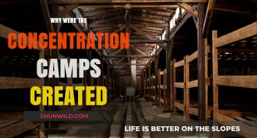 The Dark Origins of Concentration Camps: A Historical Analysis
