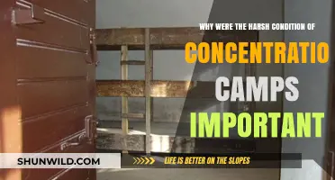 Harsh Concentration Camp Conditions: A Grim Historical Necessity Explored