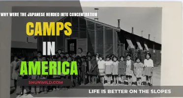 The Unjust Incarceration of Japanese Americans During World War II