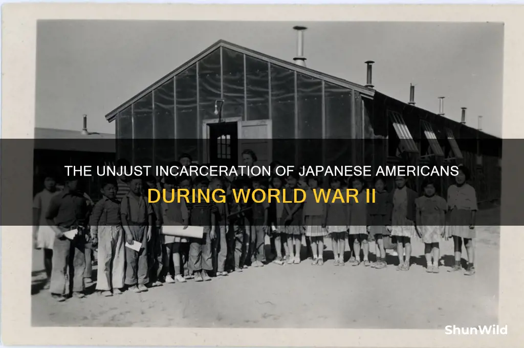 why were the japanese herded into concentration camps in america