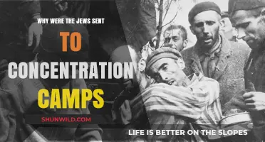 The Persecution of Jews: Understanding the Concentration Camp Tragedy