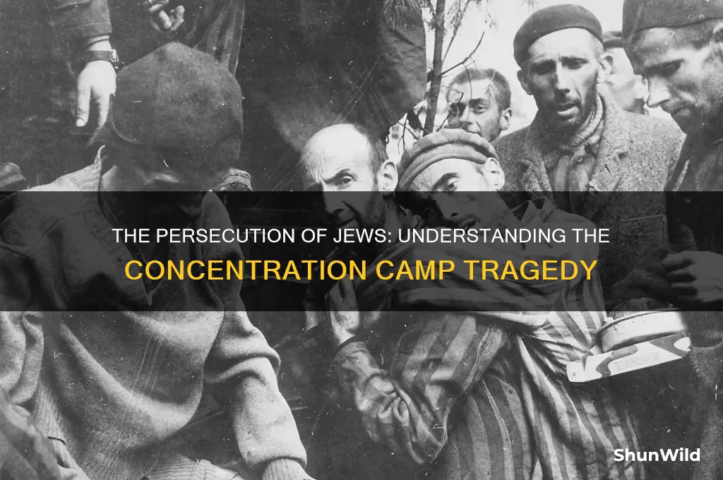 why were the jews sent to concentration camps