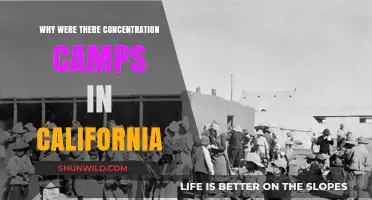 California's Dark History: The Forgotten Concentration Camps Explained