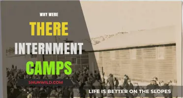 Understanding the Dark History of Internment Camps: Causes and Consequences