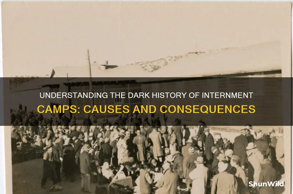 why were there internment camps