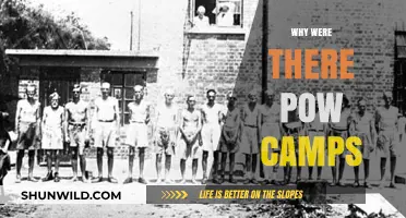 The Historical Necessity of POW Camps: A Comprehensive Analysis