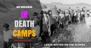 Unveiling the Horrors: Jewish Suffering in Nazi Death Camps