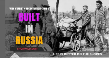Why Russia Escaped Nazi Concentration Camps: Historical Insights
