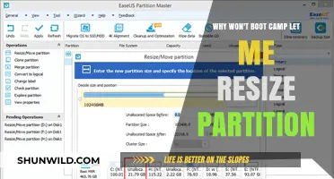 Troubleshooting Boot Camp: Why Can't I Resize My Partition?
