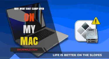 Troubleshooting Boot Camp: Why It Won't Open on Your Mac