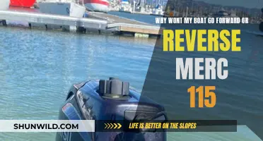 Troubleshooting a Stuck Merc 115 Engine