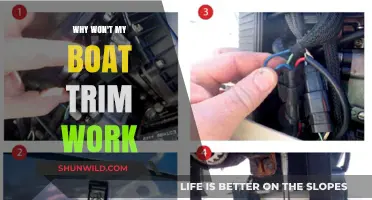 Troubleshooting: Why Your Boat Trim Won't Adjust Properly