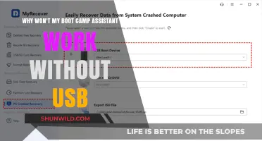 Troubleshooting Boot Camp Assistant: USB Requirement Explained