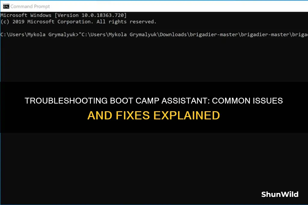 why wont my boot camp assistant work