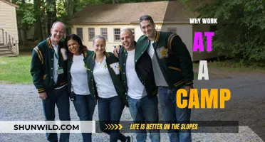 Discover Growth and Adventure: Why Working at a Camp Transforms You