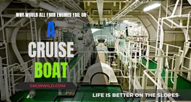 Cruise Ship Engine Failures: What Went Wrong?