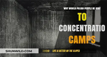 Polish Victims of Nazi Persecution: The Tragic Reason for Concentration Camps