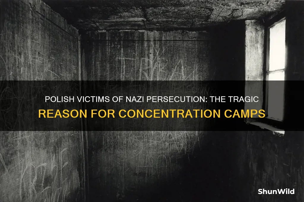 why would polish people be sent to concentration camps