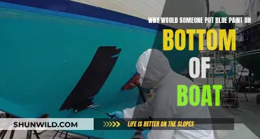 The Mystery of Blue-Bottomed Boats: Why the Paint?