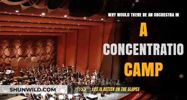 Music Amidst Horror: The Haunting Orchestras of Concentration Camps