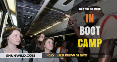 Why the Constant Yelling in Boot Camp? Unpacking the Intensity