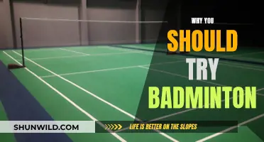 Badminton: Fun, Fitness, and Friendship
