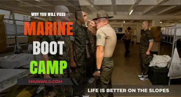 Conquer Marine Boot Camp: Proven Strategies for Guaranteed Success