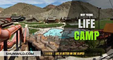 Unforgettable Adventures Await: Discover the Magic of Young Life Camp