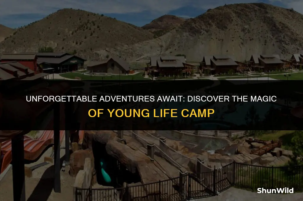 why young life camp