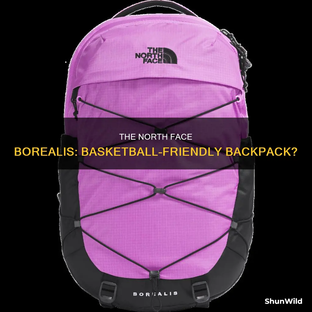 will a basketball fit in the north face borealis