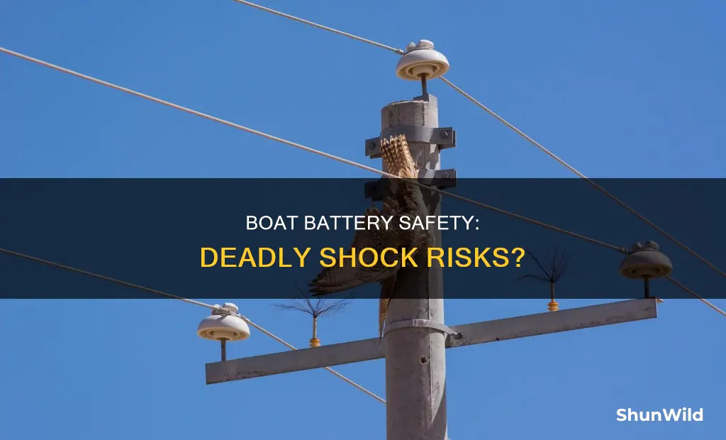 will a boat battery electrocute you