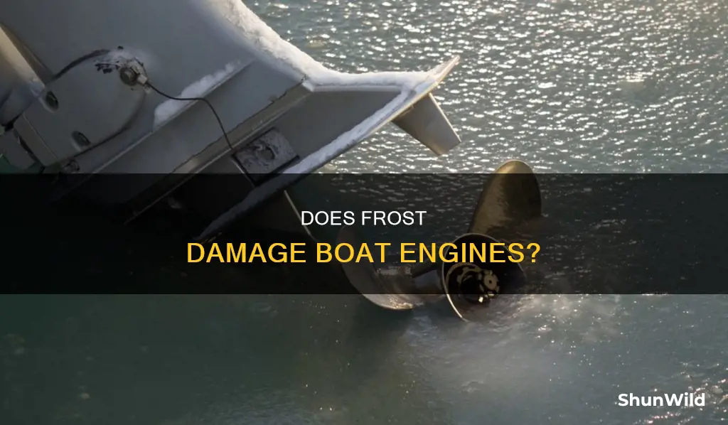 will a frost crack a boat engine block