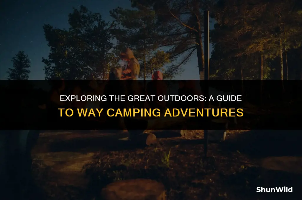 will a way camp