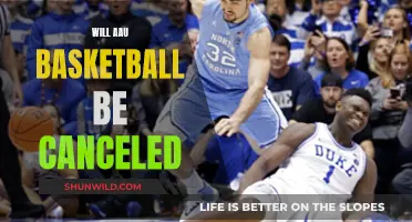 The Future of AAU Basketball: Cancelled or Continued?