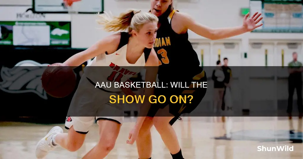 will aau basketball happen