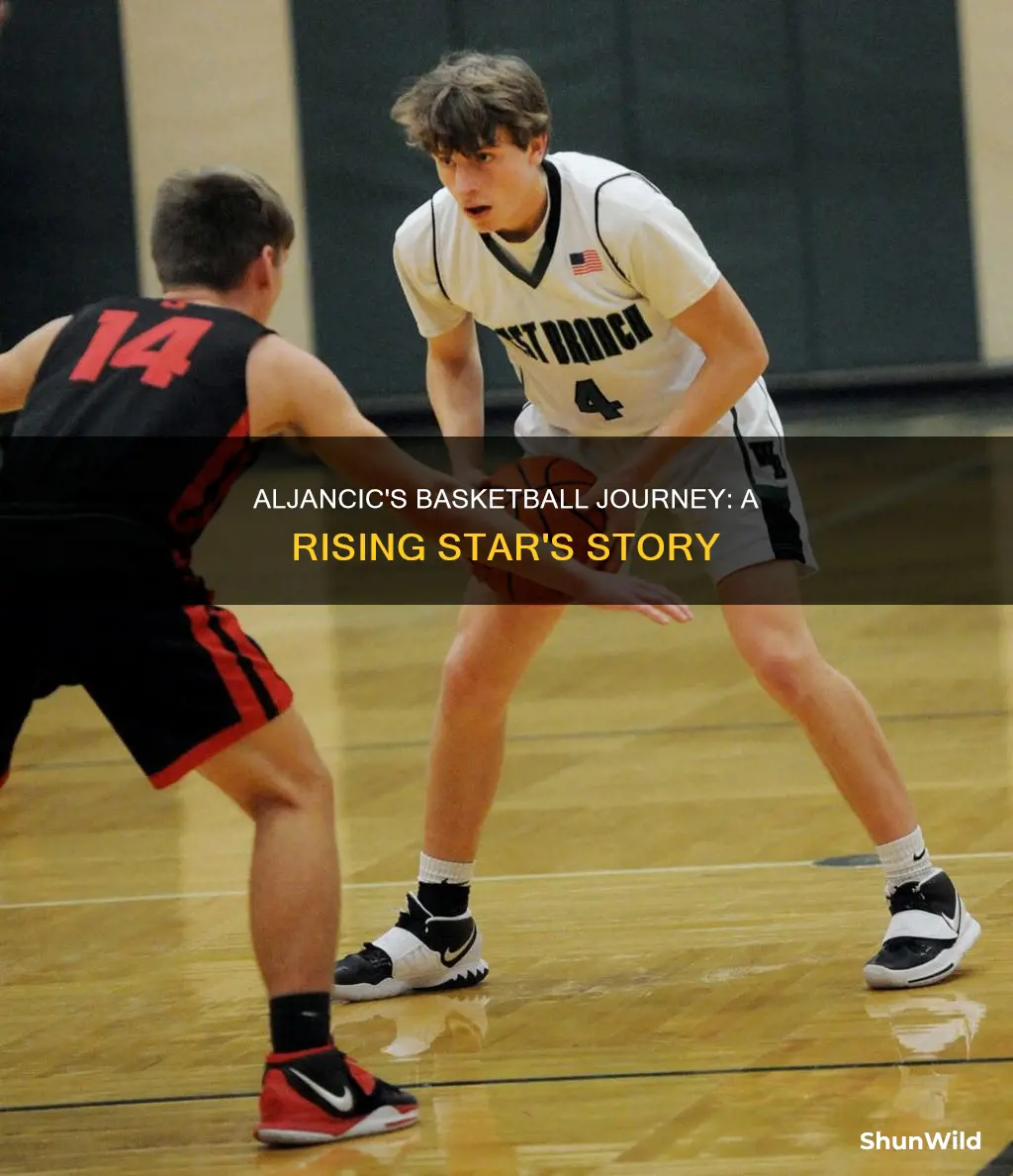 will aljancic basketball