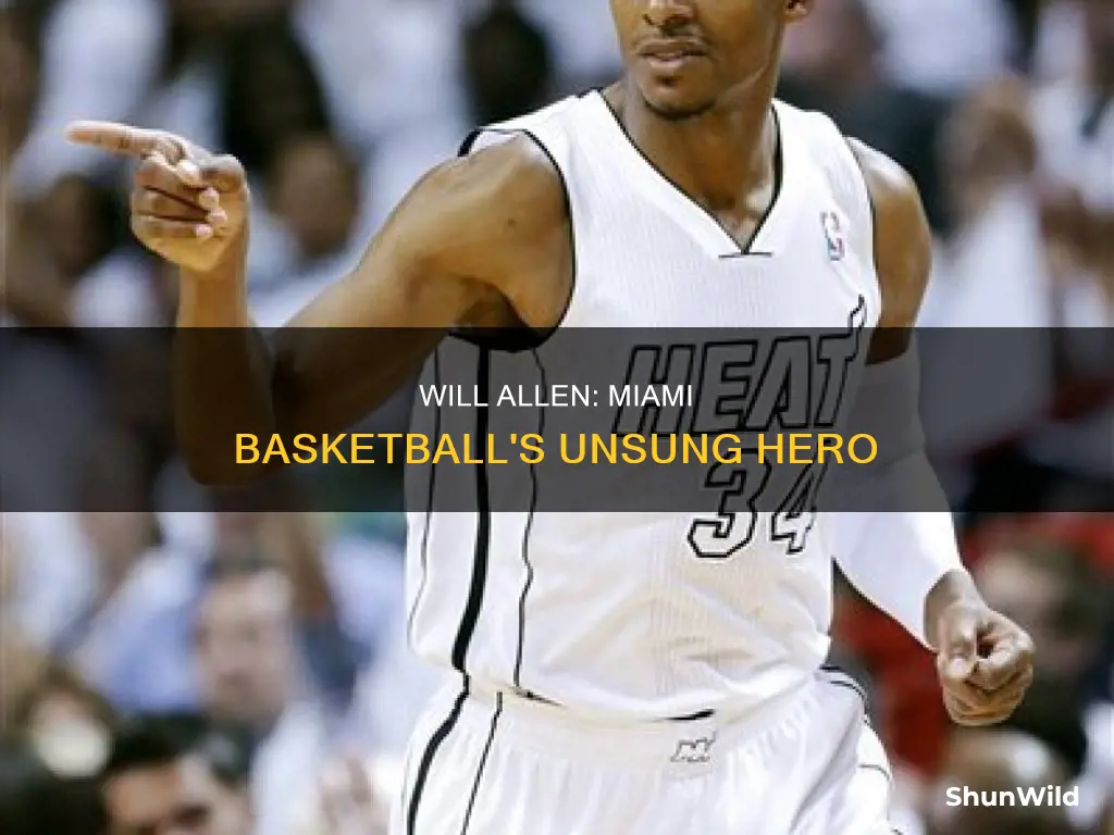 will allen miami basketball