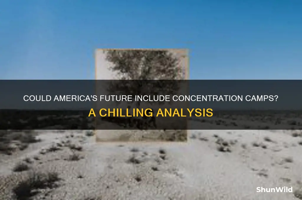 will america have concentration camps