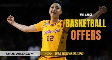 Amica Basketball Offers: Will They Score You a Deal?