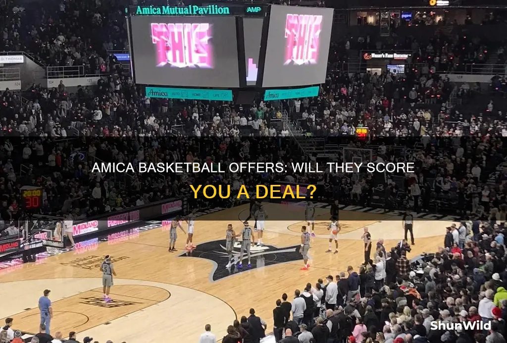 will amica basketball offers