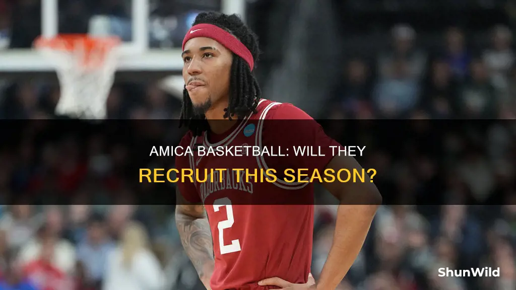 will amica basketball recruit