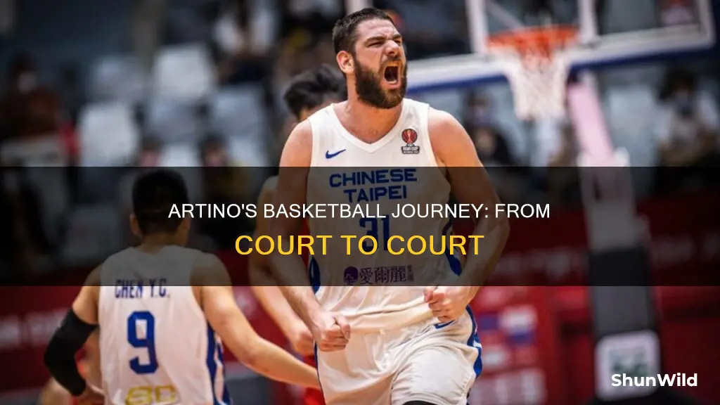 will artino basketball