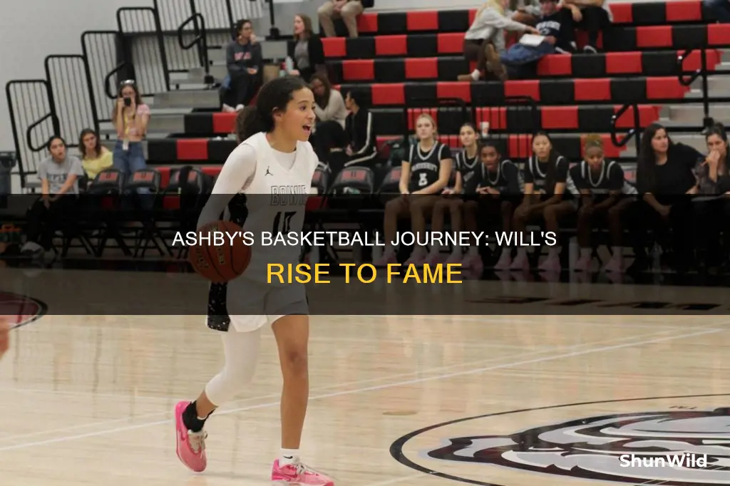 will ashby basketball