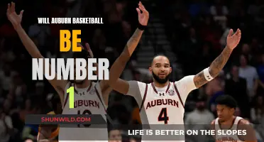 Auburn Basketball: Climbing to the Top?