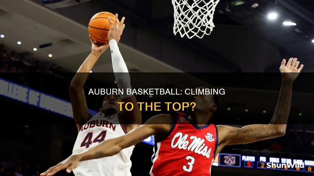 will auburn basketball be number 1
