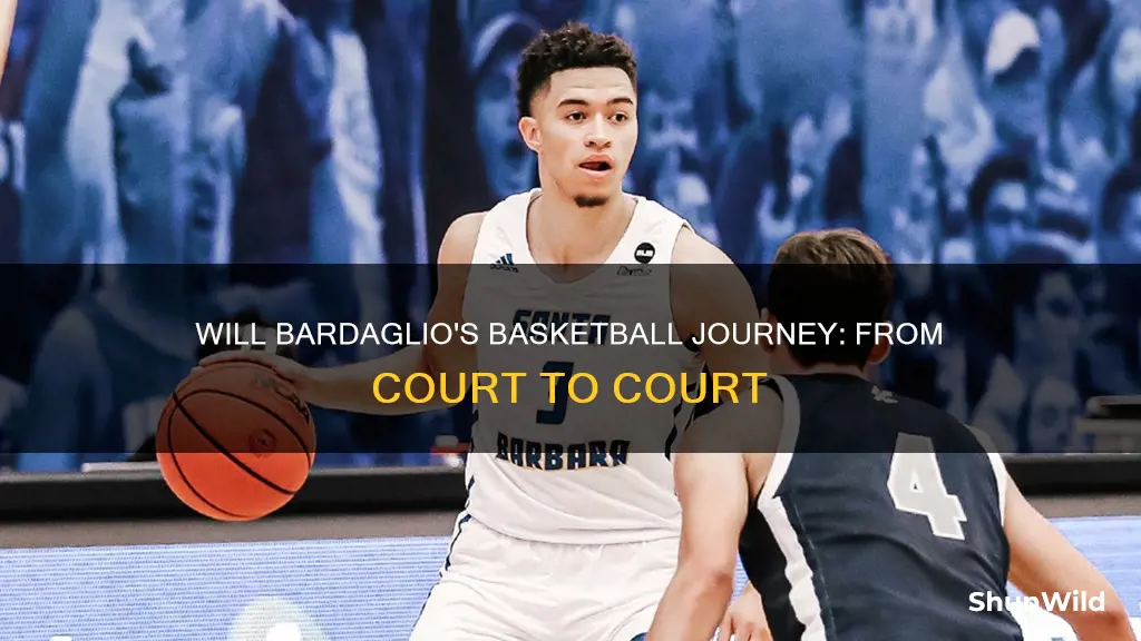 will bardaglio basketball