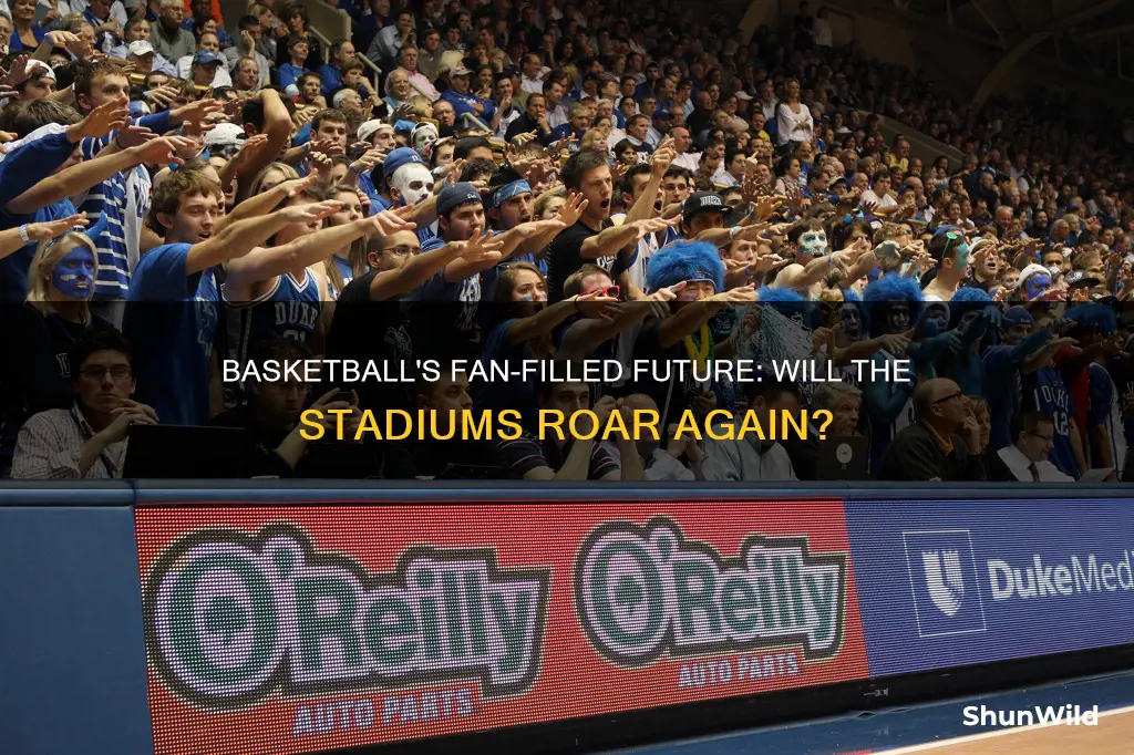 will basketball have fans
